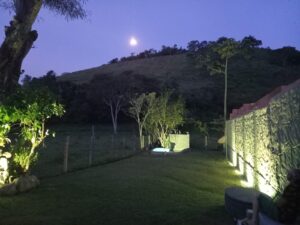 jardim iluminado